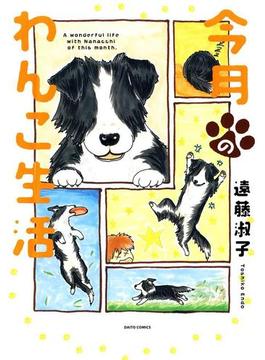 今月のわんこ生活(ペット宣言)